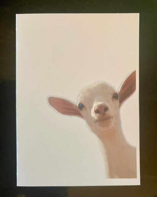 Baby Goat Kid Note Cards, White goat greeting card, goat kid stationary, blank note card set, goat thank you cards, custom greeting cards