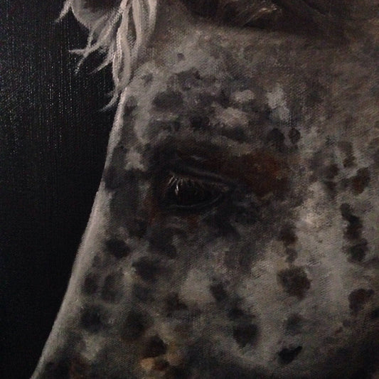 Horse Painting, Horse Oil Painting, Horse Art, Appaloosa. Original Oil painting.