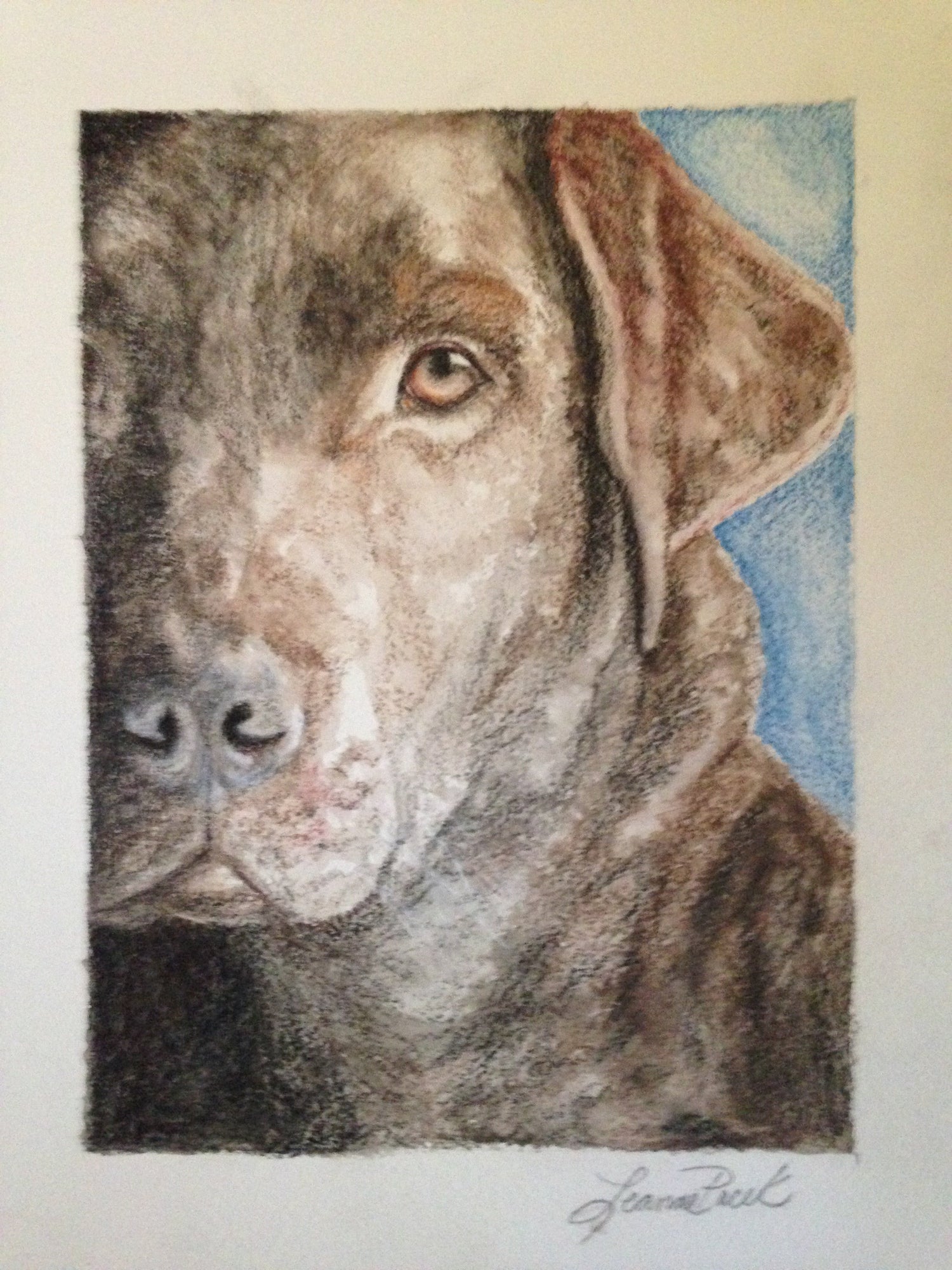 Art Prints