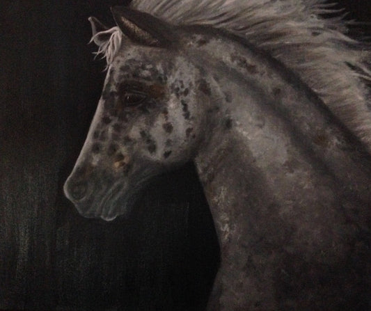 Close-up of a horse's head with a dark background