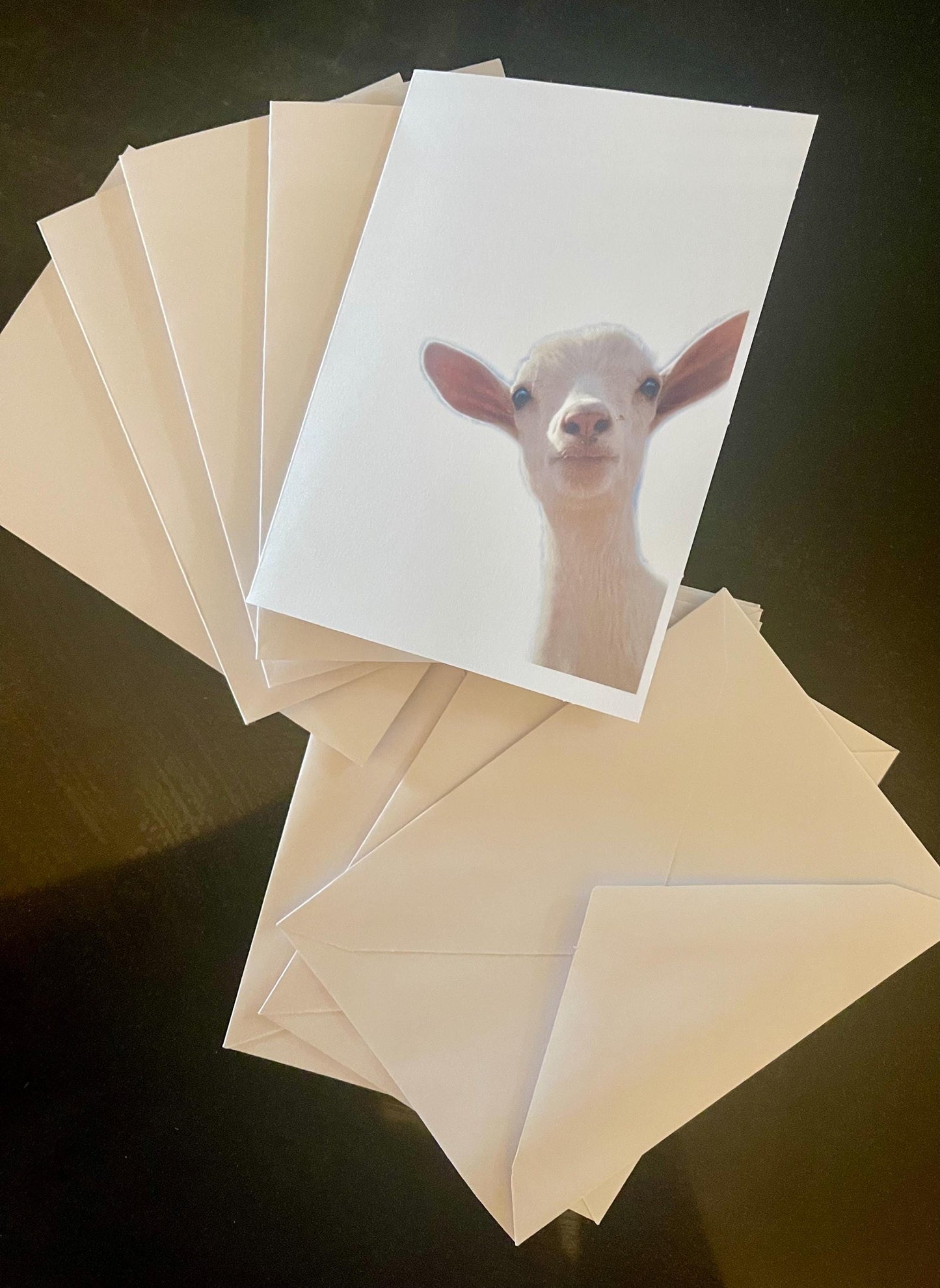 Baby Goat Kid Note Cards, White goat greeting card, goat kid stationary, blank note card set, goat thank you cards, custom greeting cards