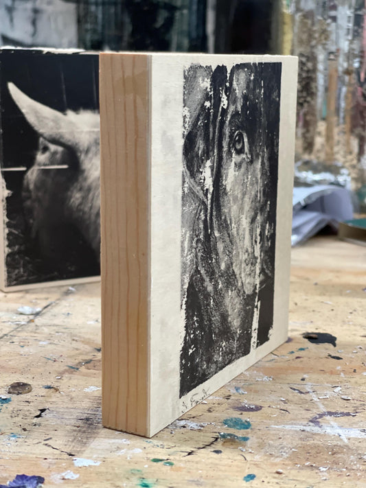 Labrador Ink Transfer on Wood Panel, monochrome, black and white. One of a kind, each transfer has subtle differences & unique qualities.