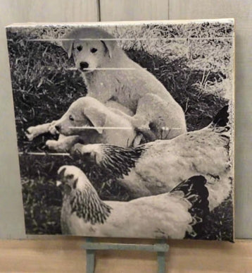 Custom image on Wood Panel – Created from your photo – Multiple Options and sizes - Black & White - Color - Hand painted colorized option