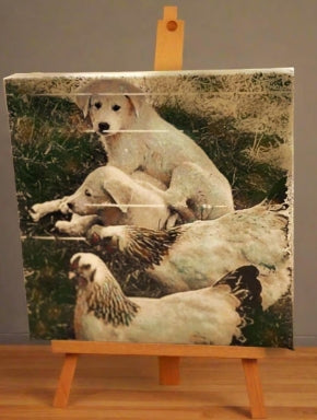 Custom image on Wood Panel – Created from your photo – Multiple Options and sizes - Black & White - Color - Hand painted colorized option