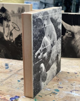 Custom image on Wood Panel – Created from your photo – Multiple Options and sizes - Black & White - Color - Hand painted colorized option