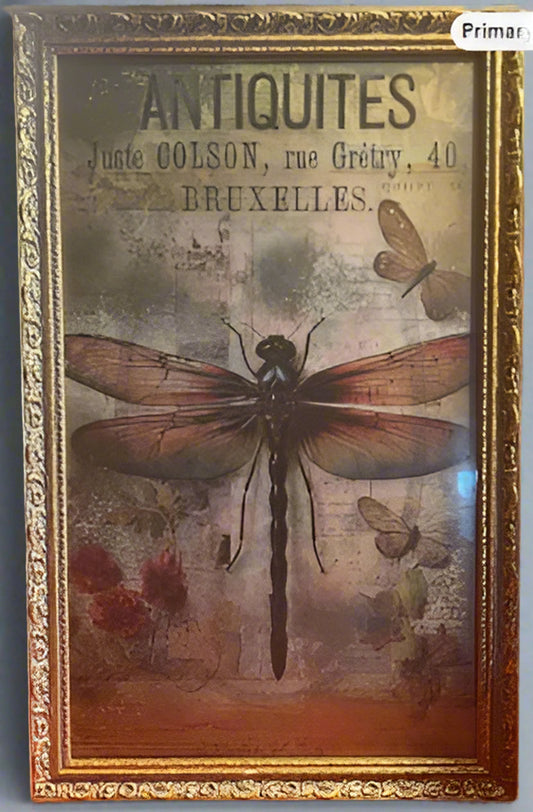 Decorative panel with vintage-style dragonfly and butterfly illustration, featuring text 'Antiquites' and 'Bruxelles'.